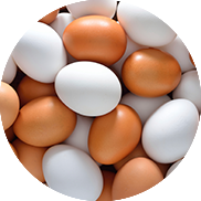 egg