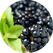 blackberries