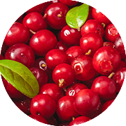 cranberries