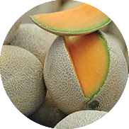 cantaloupe