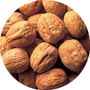 walnut