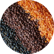 lentils