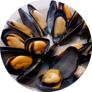 mussels