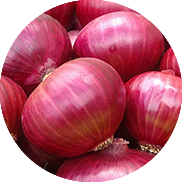 onion