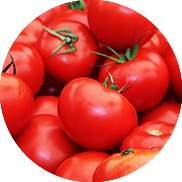 tomato