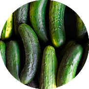 cucumber