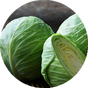 cabbage